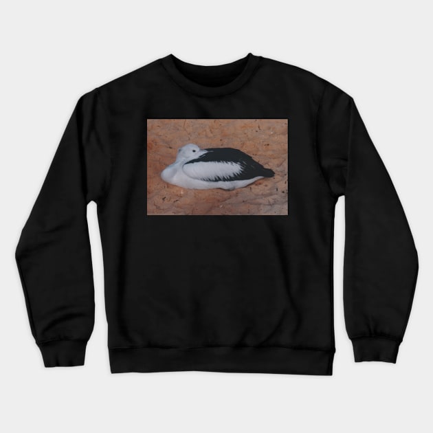 I Pelican't right now Crewneck Sweatshirt by HFGJewels